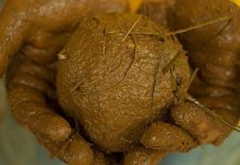 Trái đất từng là một quả cầu “bùn” khổng lồ?