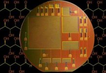 Bước đầu nghiên cứu được phương pháp lấy điện từ não người Bước đầu nghiên cứu được phương pháp lấy điện từ não người