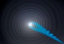 Chụp hình các vật thể nhỏ xíu bằng kính hiển vi thế hệ mới