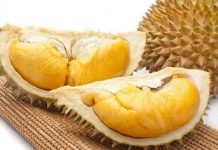 Mùi sầu riêng thực sự là: mùi của tất sau khi tập gym, mùi rác thải và thịt thối rữa