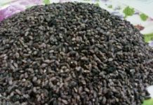 Cám nếp cẩm có nhiều chất chống oxy hóa hơn việt quất