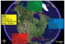 Hàng trăm nghìn loài thể thực khuẩn: Có mặt trong các đại dương trên thế giới.