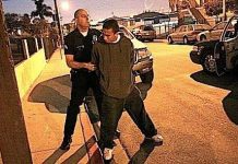 Dùng toán học vạch lãnh địa thế giới ngầm