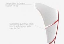 Chân giả lưỡng cư Chân giả lưỡng cư