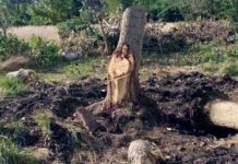 Khúc cây hình Chúa Jesus được dân Argentina tôn thờ