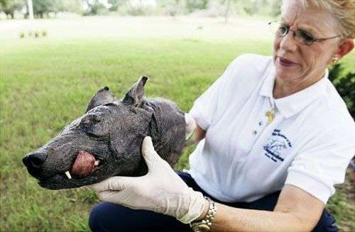 Những bí ẩn ‘chôn vùi’ theo thời gian