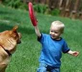 Trẻ con hay bị chó cắn vì... mất trật tự