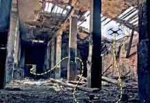 Mỹ chế tạo UAV giống chim phục vụ các hoạt động cứu con tin