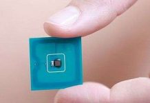 Người "nhiễm" virus máy tính!