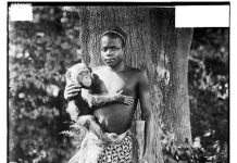 Cuộc đời bi thảm của người lùn bị nhốt trong sở thú ở New York