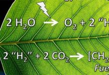 Sản xuất điện bằng lá nhân tạo
