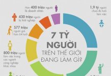 7 tỷ người trên trái đất này đang làm gì?