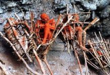 Rùng rợn những xác ướp hun khói trên vách núi