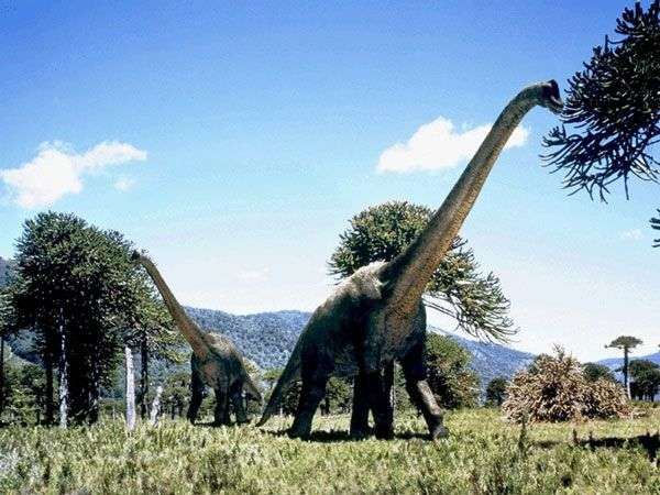 Nguồn gốc kích thước khổng lồ của khủng long
