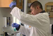 Cây chiếu sáng đường phố trong tương lai