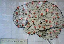 Khoa học có thể đọc suy nghĩ con người bằng giấy trắng mực đen