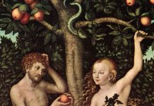Không phải táo, "Trái cấm" Adam và Eva đã ăn trong Vườn Địa đàng là quả gì?