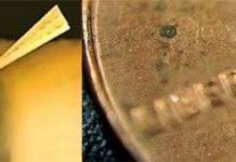 Tuabin gió siêu nhỏ dành cho điện thoại thông minh Tuabin gió siêu nhỏ dành cho điện thoại thông minh