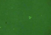 Ánh sáng bí ẩn xuất hiện trên bầu trời Mỹ