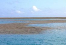 Phát hiện "sa mạc" giữa đại dương và cái kết bất ngờ