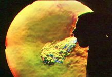 Khoa học về ho và hắt hơi