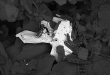 Những khoáng thạch quý hiếm hơn kim cương