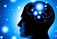 Elon Musk: Con người cần cấy ghép công nghệ vào não để chống lai Al