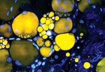 Các nhà khoa học tìm thấy 3 cách biến tế bào con người thành tia laser