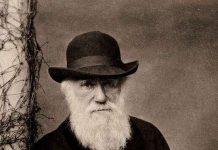 Sáng tỏ nghi án Darwin “đạo” ý tưởng