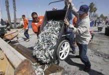 Bí ẩn hàng triệu con cá chết đồng loạt Hàng triệu cá chết tại bến cảng Mỹ