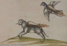 Con người đeo vũ khí vào thú cưng để làm "bom cảm tử" từ thế kỷ 16