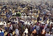 Bao giờ thì Trái Đất này không còn chỗ trống?