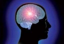 Phát hiện gien điều chỉnh quá trình lão hóa não