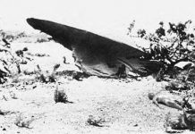 Hai UFO từng rơi xuống Mỹ vào thập niên 40