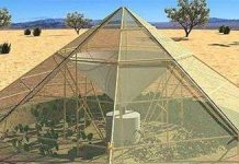 Thu thập nước trong không khí để trồng cây ở sa mạc