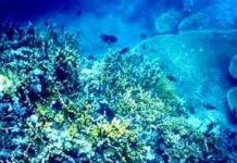 Bạn biết gì về độ phóng xạ của nước trên trái đất?