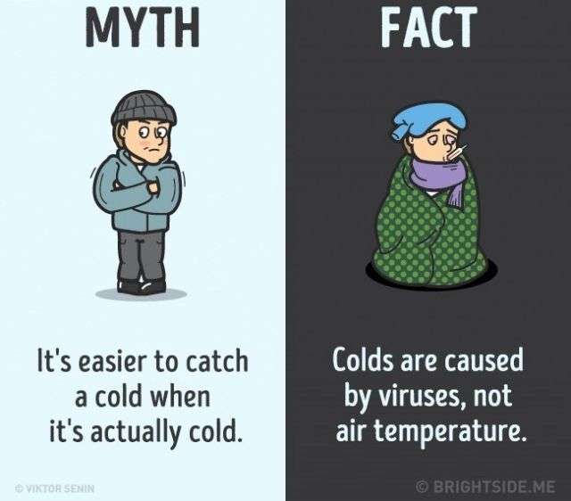 12 nhận thức sai lầm bạn vẫn luôn tin là đúng