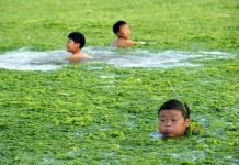 6 sự thật khiến bạn thay đổi cách nghĩ về việc sử dụng nước