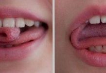 Hoa lưỡi 3 cánh và khả năng đặc biệt mà chỉ có 1% người trên thế giới có được