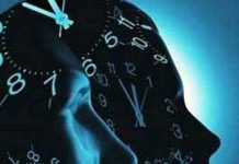 Đồng hồ sinh học của cơ thể