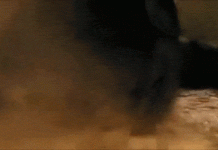 Câu chuyện về "quái vật" Gustave - 1 trong 3 huyền thoại đáng sợ nhất lịch sử