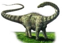 Làm thế nào khủng long to lớn như vậy?