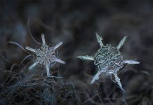 Diệu kỳ những bông tuyết đẹp mê hồn