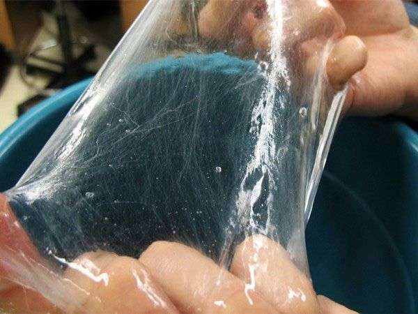 Nghiên cứu chế tạo ra sợi từ chất nhầy của cá