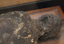 Khóc thét với những sự thật rùng rợn về cái chết