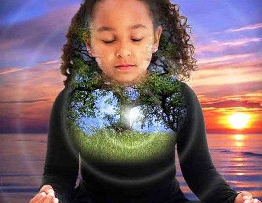 Lời giải mới cho bí ẩn về “giác quan thứ 6”