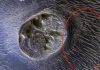 NASA công bố miệng núi lửa kỳ lạ nhất trên sao Hỏa