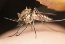 Những phát hiện khoa học tình cờ nhưng quan trọng