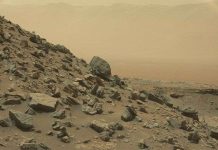 Con người có thể trồng thành công khoai tây trên sao Hỏa