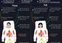 Cơ thể nam và nữ biến đổi thế nào trong không gian